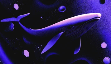 Crypto Whales — who are they and how do they maintain anonymity? Crypto Whales — who are they and how do they maintain anonymity?